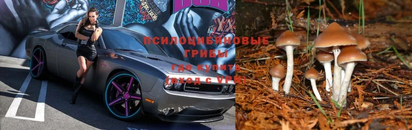 дурь Верея