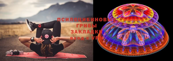 дурь Верея