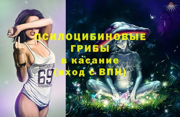 Альфа ПВП Верхний Тагил