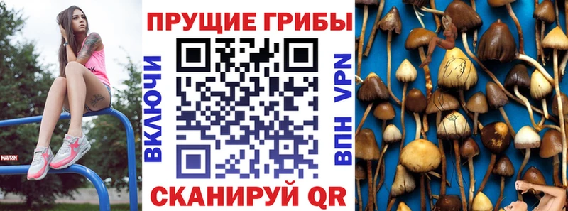 Псилоцибиновые грибы мухоморы  Купить  Багратионовск 