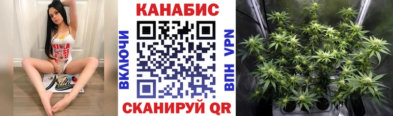 Купить где Багратионовск Канабис MAZAR